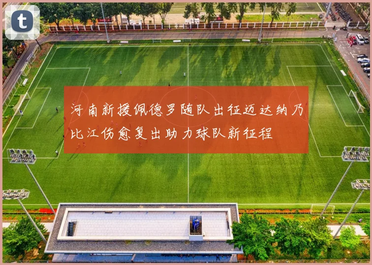 河南新援佩德罗随队出征迈达纳乃比江伤愈复出助力球队新征程