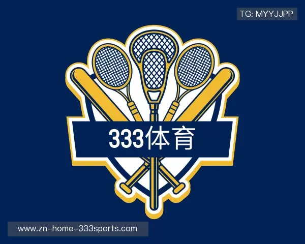 介绍333体育